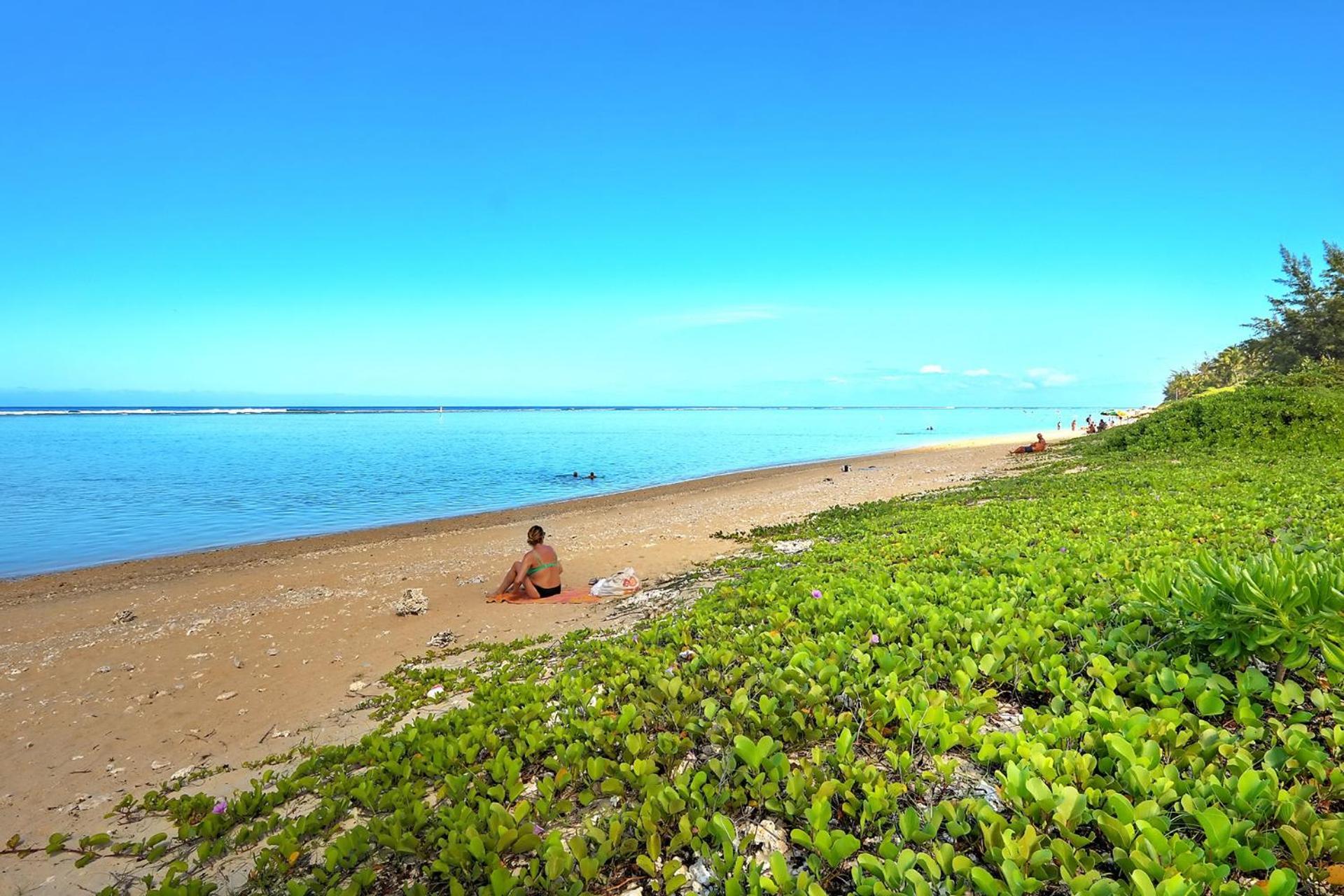 Exceptionnel ! Le Kazuarina, Tres Bel Apt F3 A 50M De La Plage De La Saline Les Bains Exterior photo